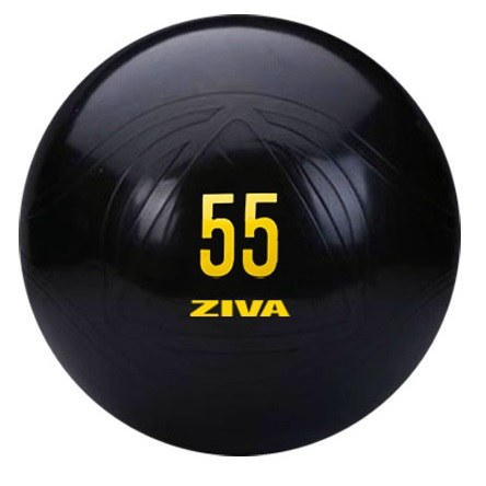 כדור פיזיו Performance ZIVA Performance