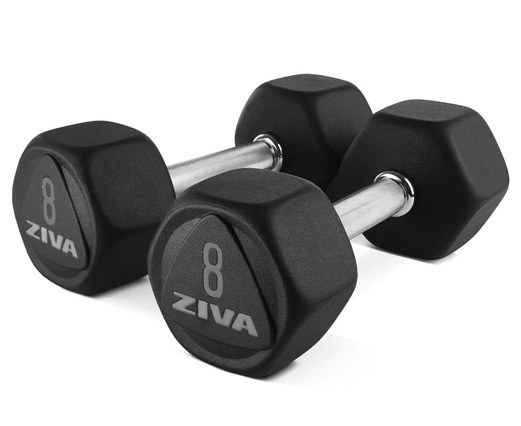 דאמבלים Performance אפור ZIVA Performance